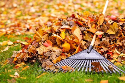 preparing-your-backyard-for-fall