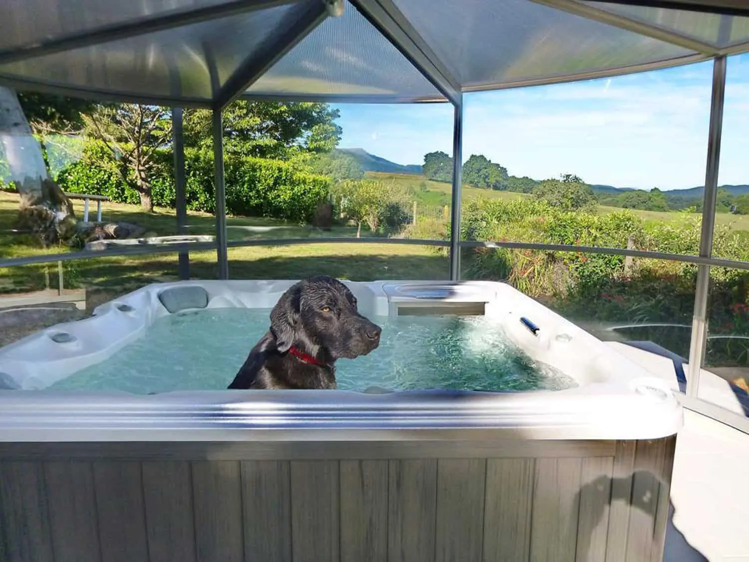 Dog Takes A Plunge In A Hot Tub From Sundance Spas